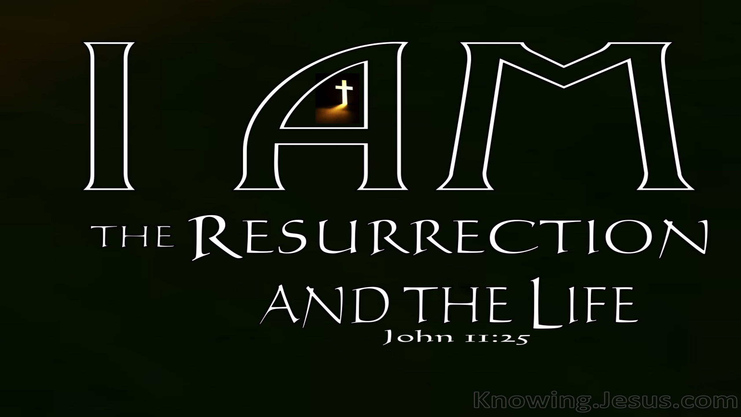 John 11:25 The Resurrection And The Life (black)